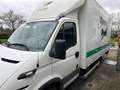 Iveco Daily 50C14 375 Biały - thumbnail 1