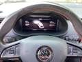 Skoda Octavia 2.0 TSI d-T Automatik SmartLink Blau - thumbnail 12