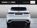 Jaguar F-Pace D200 R-DYNAMIC SE AWD ACC LED 20" Weiß - thumbnail 7