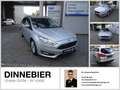 Ford Focus Business W-Paket SHZ Argento - thumbnail 1
