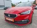 SEAT Leon 1.5 TSI Style *Einparkhilfe *DAB *Sitzheizu Rot - thumbnail 7