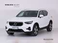 Volvo XC40 XC40 T2 129CV AUT CORE Weiß - thumbnail 1