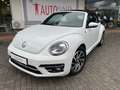 Volkswagen New Beetle Cabriolet 1.4 TSI Sound - Navi, PDC, Alu, Bi-Xenon Weiß - thumbnail 21