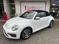 Volkswagen New Beetle Cabriolet 1.4 TSI Sound - Navi, PDC, Alu, Bi-Xenon Weiß - thumbnail 3