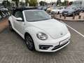 Volkswagen New Beetle Cabriolet 1.4 TSI Sound - Navi, PDC, Alu, Bi-Xenon Weiß - thumbnail 7
