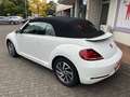 Volkswagen New Beetle Cabriolet 1.4 TSI Sound - Navi, PDC, Alu, Bi-Xenon Weiß - thumbnail 20