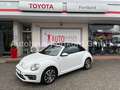 Volkswagen New Beetle Cabriolet 1.4 TSI Sound - Navi, PDC, Alu, Bi-Xenon Weiß - thumbnail 1