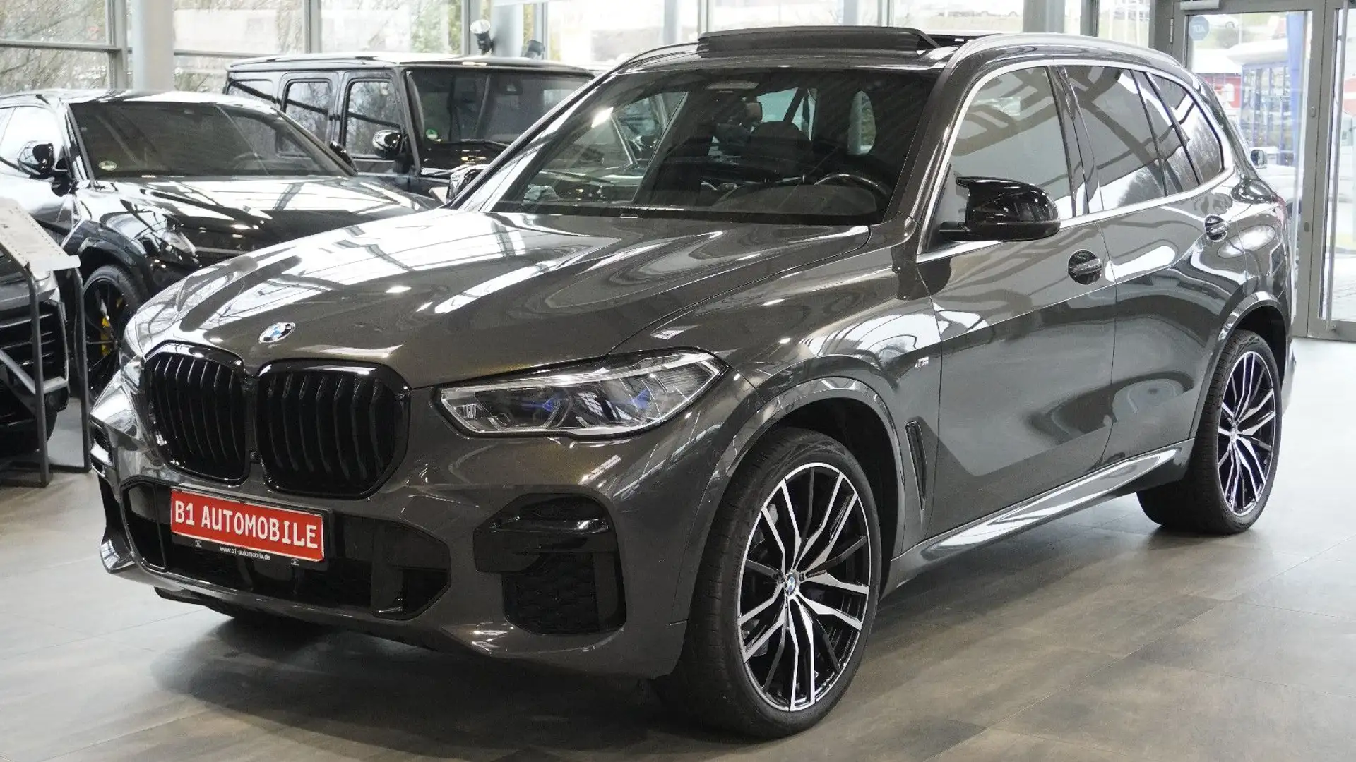 BMW X5 xDrive 30 d M Sport*ACC*AHK*PANO*HEAD-UP*22" Gris - 1