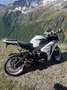 Honda CBR 1000 Voll abgestimmte  Sc59RR -Carbon Edition - Blanco - thumbnail 16