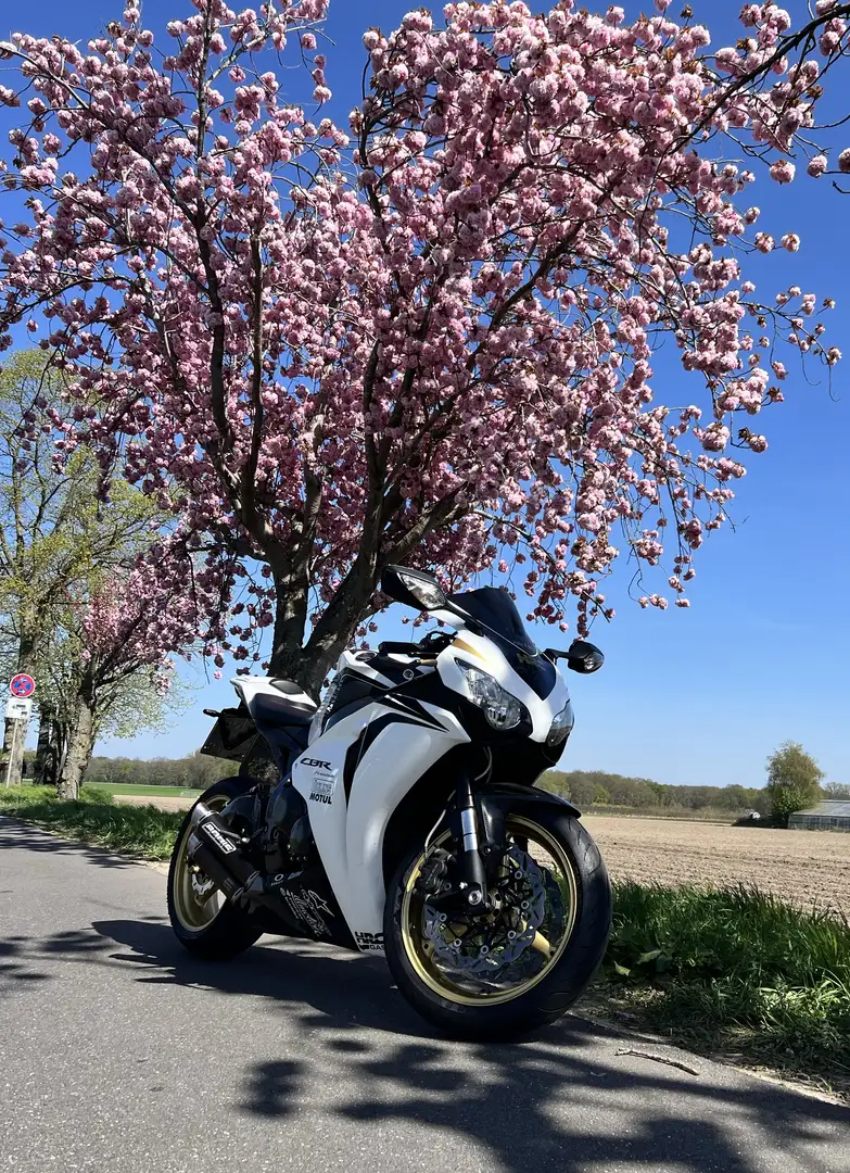 Honda CBR 1000 Leistungs-optimierte Sc59RR -Carbon Edition - Blanc - 2