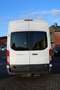 Ford Transit Kasten 350 L4 Trend Blanc - thumbnail 5