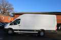 Ford Transit Kasten 350 L4 Trend Blanc - thumbnail 6