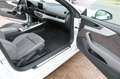 Audi A5 Cabriolet 40 TFSI S line Sport-Paket KLIMA Blanc - thumbnail 8