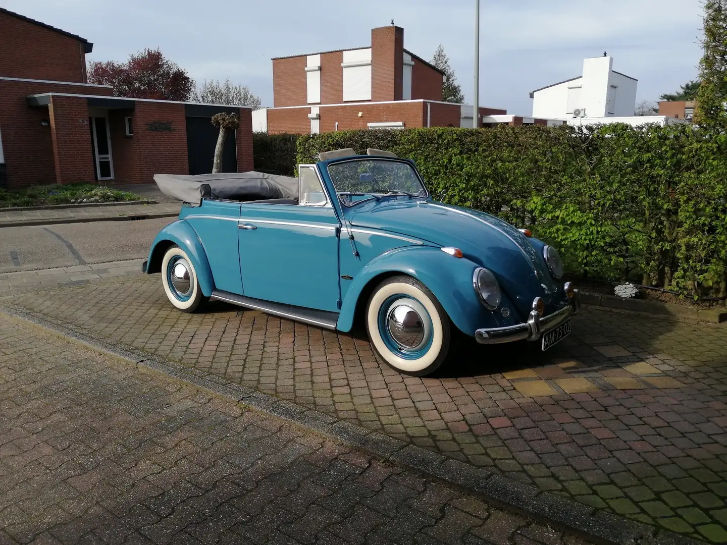 Volkswagen Käfer Bleu - 1