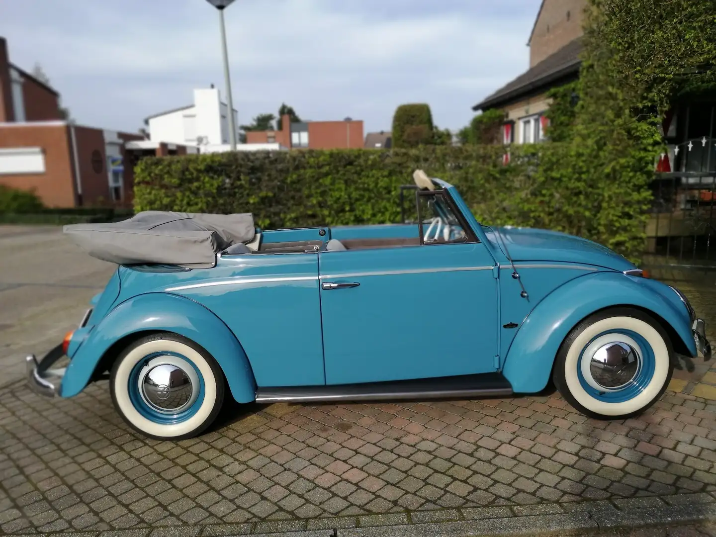 Volkswagen Käfer Azul - 2