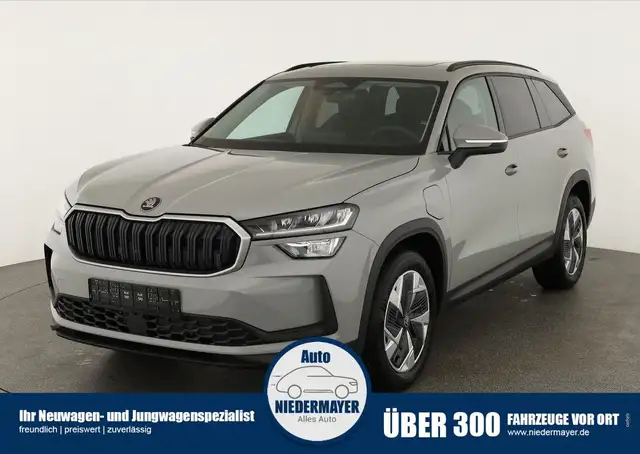 Skoda Kodiaq 1.5 TSI iV Selection, AHK, Pano, Navi, Kamera, Sid