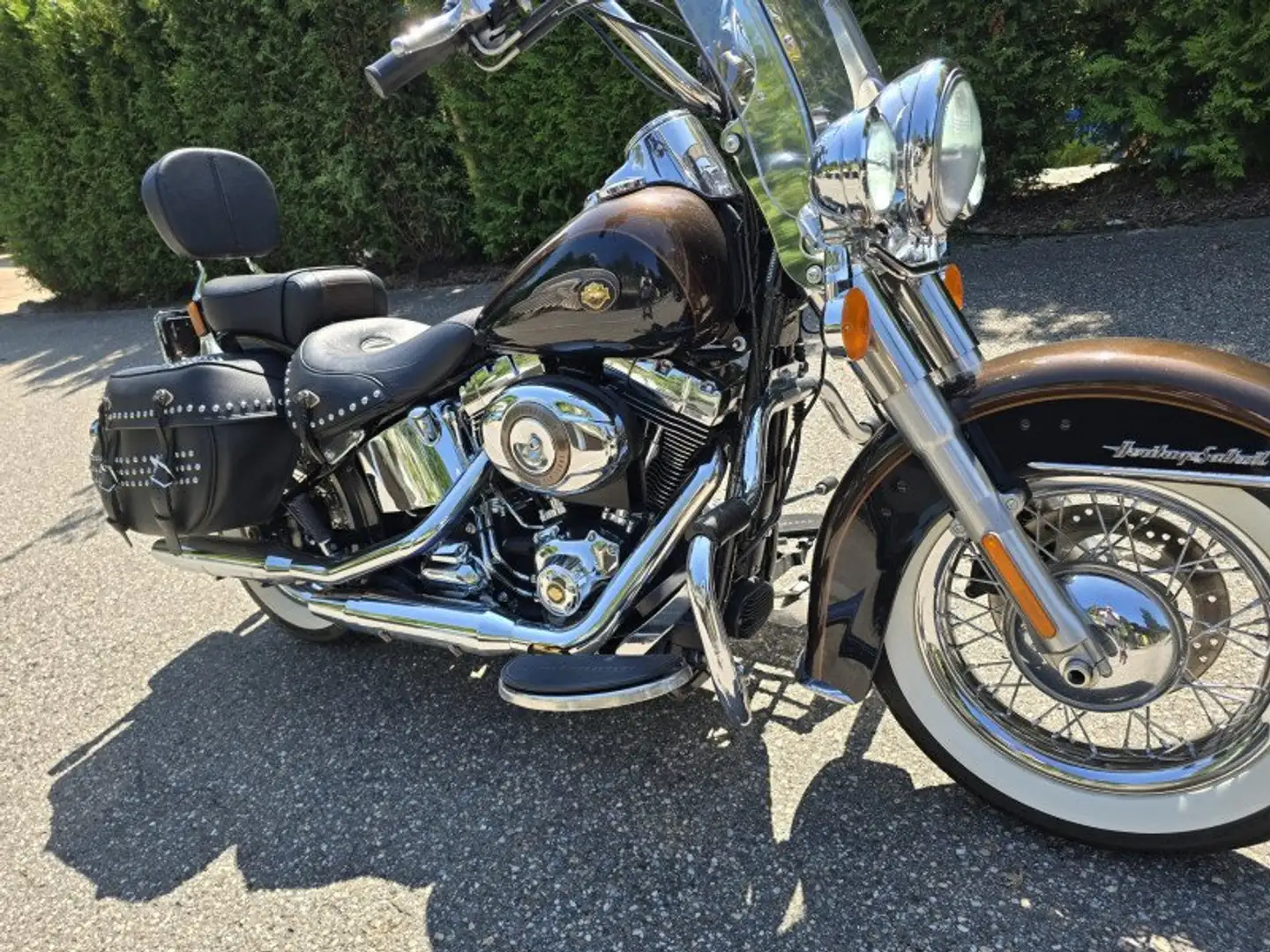 Harley-Davidson Heritage Softail FLSTC Bruin - 2