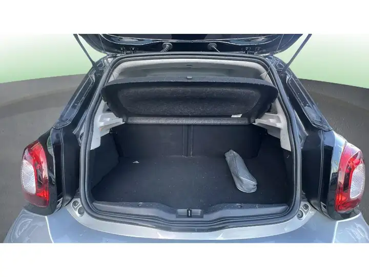 smart Forfour Prime 2018, foto 16
