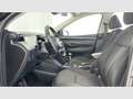 Hyundai TUCSON 1.6 CRDI Maxx 4x2 Gris - thumbnail 12
