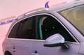 Audi QUATTRO 40 TDI 150kW (204CV) S tronic Gris - thumbnail 16
