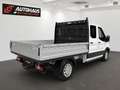 Ford Transit Pritsche 2,0 TDCi L2H1 DK 350 Trend | 1... Weiß - thumbnail 6