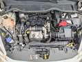 Ford Fiesta 1.5TDCi Trend 85 Blanco - thumbnail 19