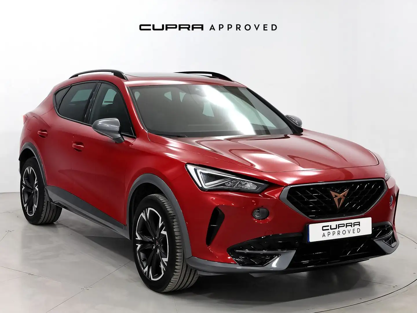 CUPRA Formentor 1.5 TSI 150 DSG Rood - 1