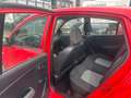 Hyundai i10 Edition+ 1,1L *SERVO*Zentral*Allwetter Reife Rouge - thumbnail 11