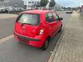 Hyundai i10 Edition+ 1,1L *SERVO*Zentral*Allwetter Reife Rouge - thumbnail 5