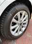 Ford C-Max 1.0 *CRONOLOGIA TAGLIANDI* Bianco - thumbnail 11