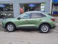 Ford Kuga Hybrid Titanium Vert - thumbnail 2