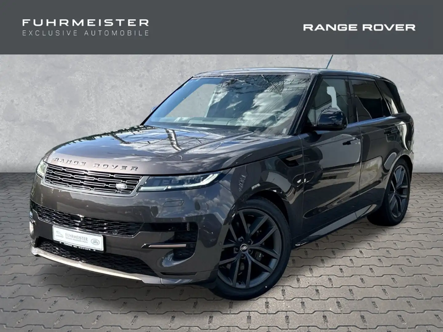 Land Rover Range Rover Sport D300 Dynamic HSE  Park-Assistent Grau - 1