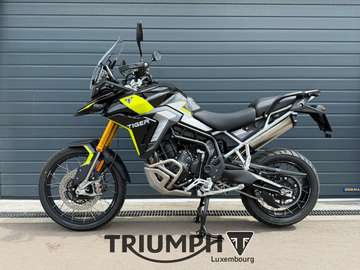 TIGER 900 RALLY PRO