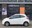 Ford Ka/Ka+ 1.2 Trend Cool & Sound 2.Hd Klima Alu TÜV neu Wit - thumbnail 4