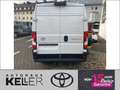 Toyota Proace Max 2.2-l-D 35 L2H2 Meister Weiß - thumbnail 5
