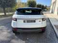 Land Rover Range Rover Evoque Range Rover Evoque I 2016 5p 2.0 td4 150cv Bianco - thumbnail 5