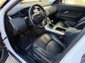 Land Rover Range Rover Evoque Range Rover Evoque I 2016 5p 2.0 td4 150cv Bianco - thumbnail 7