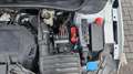 Volkswagen Polo VI 2.0 TSI GTI DSG ACC LED Park Assist Weiß - thumbnail 6