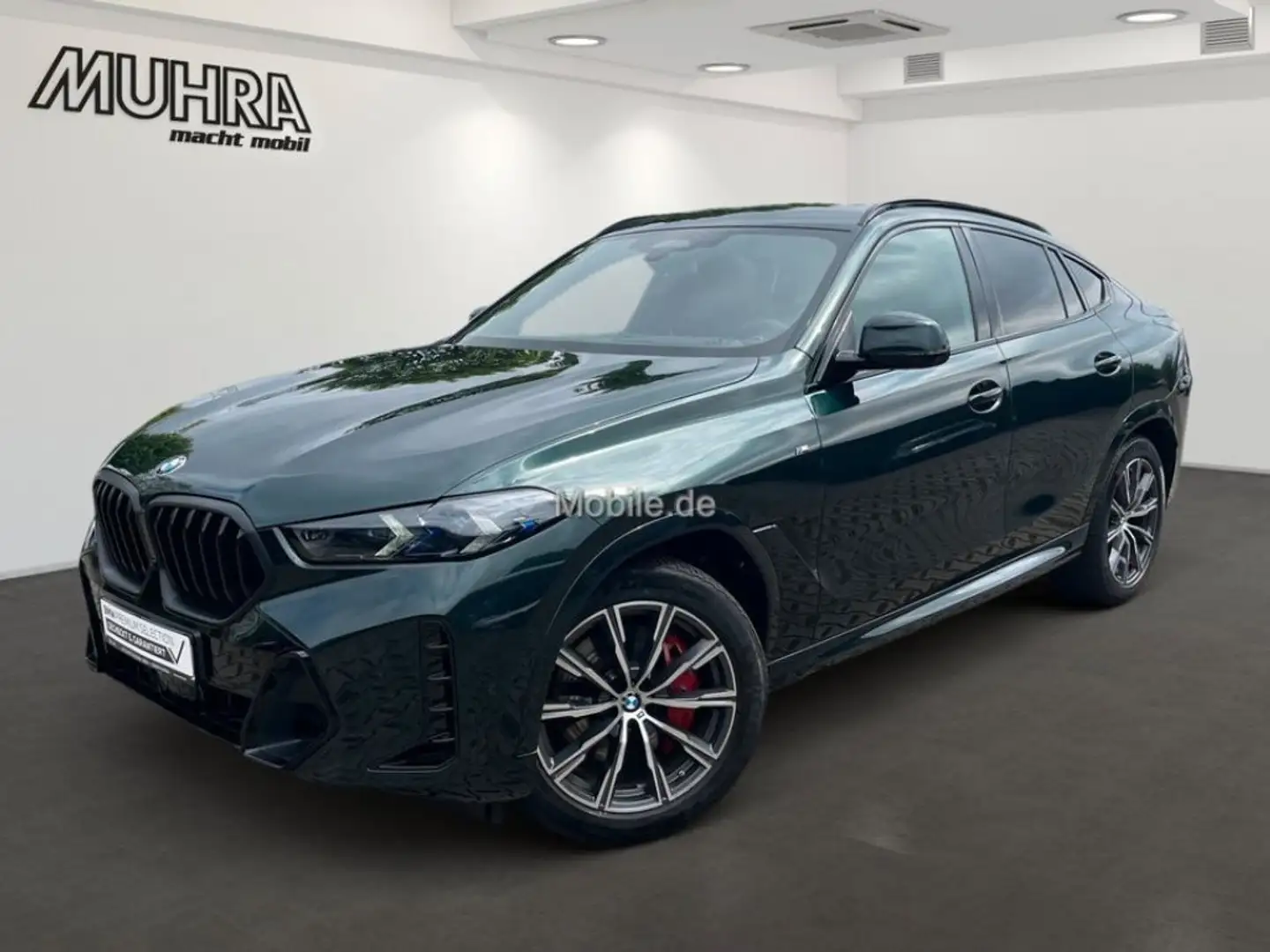 BMW X6 xDrive40d M Sport Pro 2-Achs Pano Sthzg. AHK Vert - 2