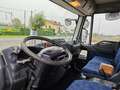 Iveco Blanc - thumbnail 6