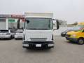 Iveco Blanc - thumbnail 2