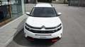 Citroen C5 Aircross BlueHDi 130 S&S EAT8 Feel Bianco - thumbnail 3