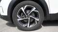 Citroen C5 Aircross BlueHDi 130 S&S EAT8 Feel Bianco - thumbnail 8