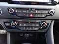 Kia Niro 1,6 GDI Hybrid Platin DCT Rot - thumbnail 30