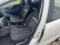 Suzuki Alto Basis*TÜV 11-2026* Weiß - thumbnail 9