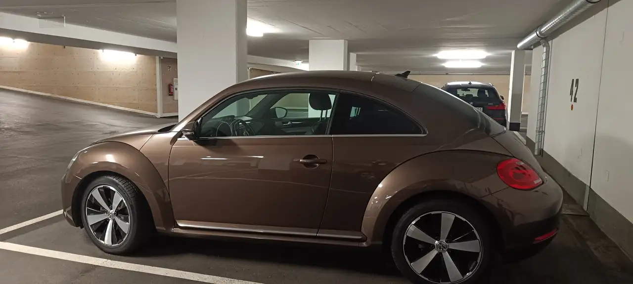 Volkswagen Beetle