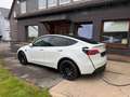 Tesla Model Y PERFORMANCE Anhängerkupplung 8x Blanc - thumbnail 3