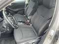Skoda Scala 1.0 tsi Ambition 110cv Grau - thumbnail 8