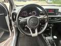 Kia Picanto 1.0 CVVT ComfortLine Gris - thumbnail 7