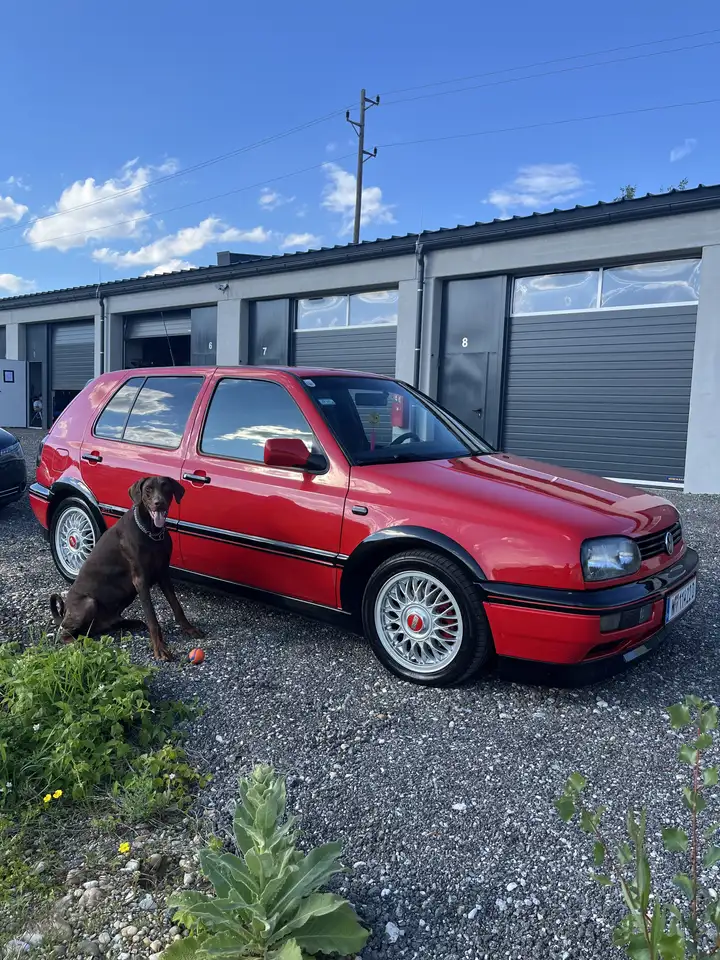 Volkswagen Golf Edition TDI. Afn Motor, foto 6